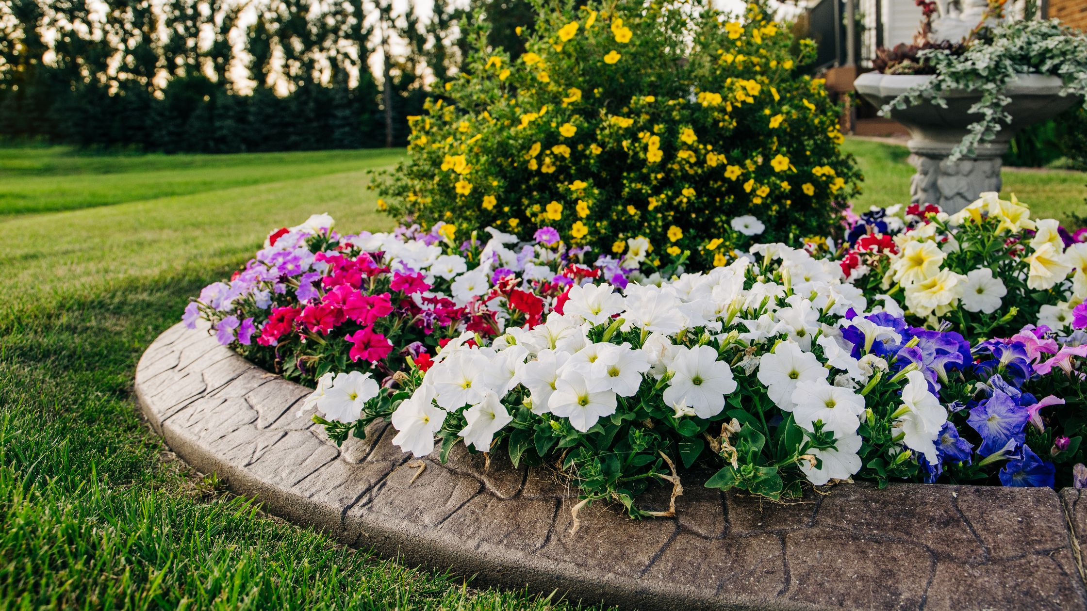 How to Enhance Your Curb Appeal